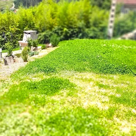 Nyaraló Casa A Mi Vera Covelo (Pontevedra)
