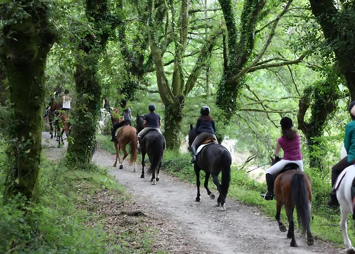 Дом отдыха Casa A Mi Vera *